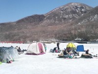 赤城大沼 ワカサギ釣りポータル 全国のわかさぎ釣り情報