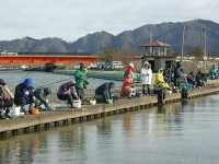秋田のワカサギ釣り場 ワカサギ釣りポータル 全国のわかさぎ釣り情報