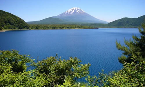 本栖湖 ワカサギ釣りポータル 全国のわかさぎ釣り情報