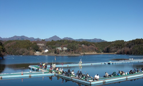 鳴沢湖 ワカサギ釣りポータル 全国のわかさぎ釣り情報