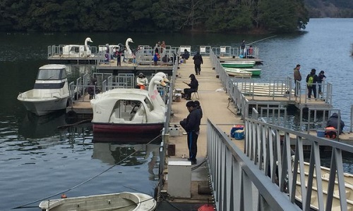 豊田湖 ワカサギ釣りポータル 全国のわかさぎ釣り情報